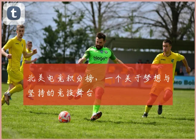 北美电竞积分榜,一个关于梦想与坚持的竞技舞台