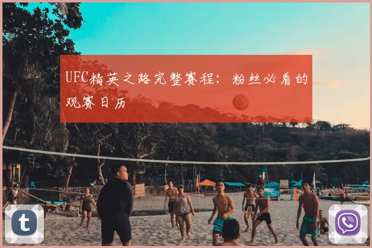 UFC精英之路完整赛程：粉丝必看的观赛日历