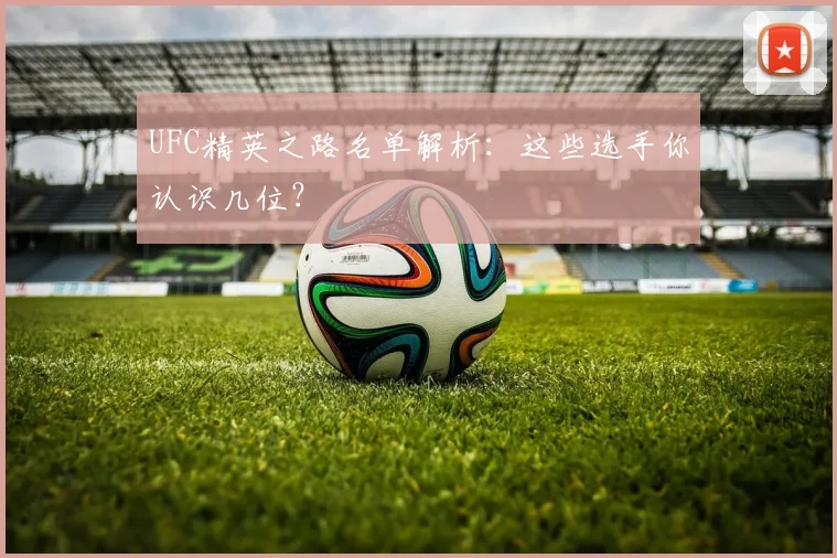 UFC精英之路名单解析：这些选手你认识几位？