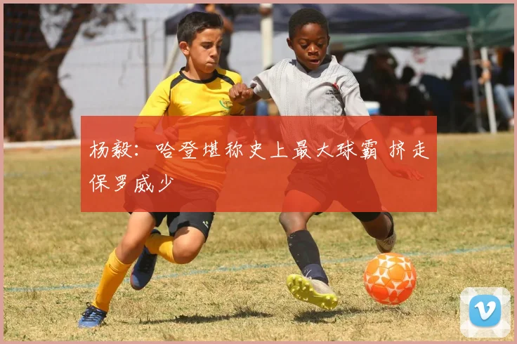杨毅：哈登堪称史上最大球霸 挤走保罗威少