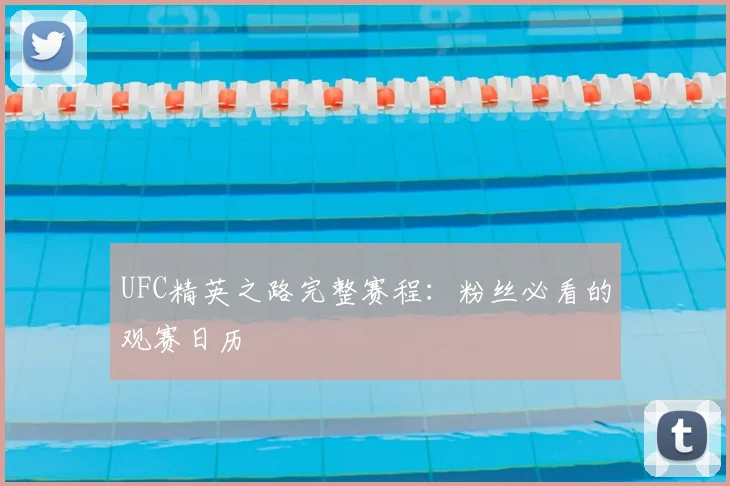 UFC精英之路完整赛程：粉丝必看的观赛日历