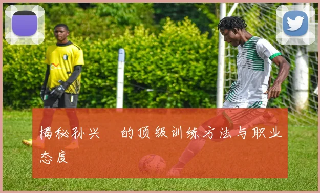 揭秘孙兴慜的顶级训练方法与职业态度