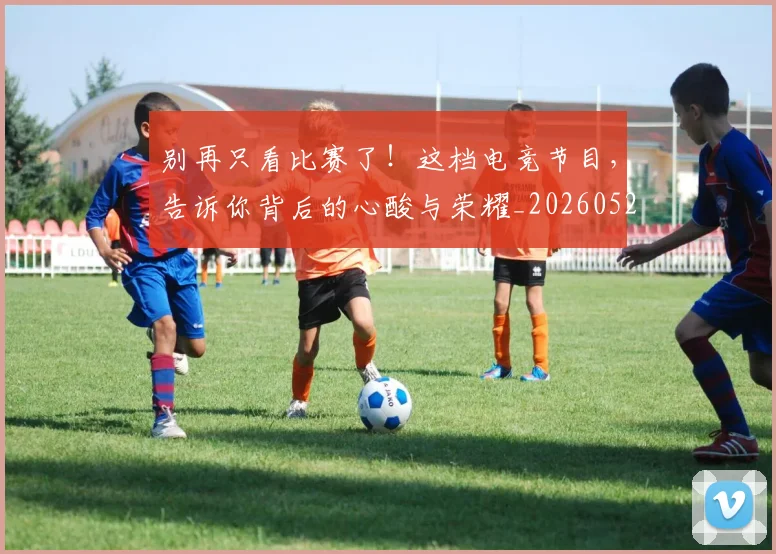 别再只看比赛了！这档电竞节目，告诉你背后的心酸与荣耀_20260526073157