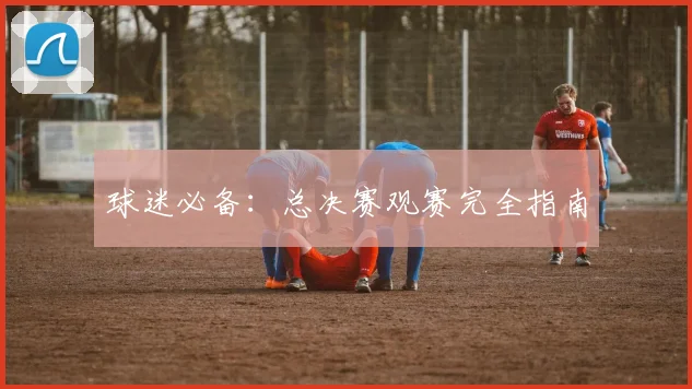 球迷必备：总决赛观赛完全指南