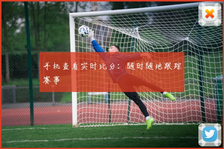 手机查看实时比分：随时随地跟踪赛事