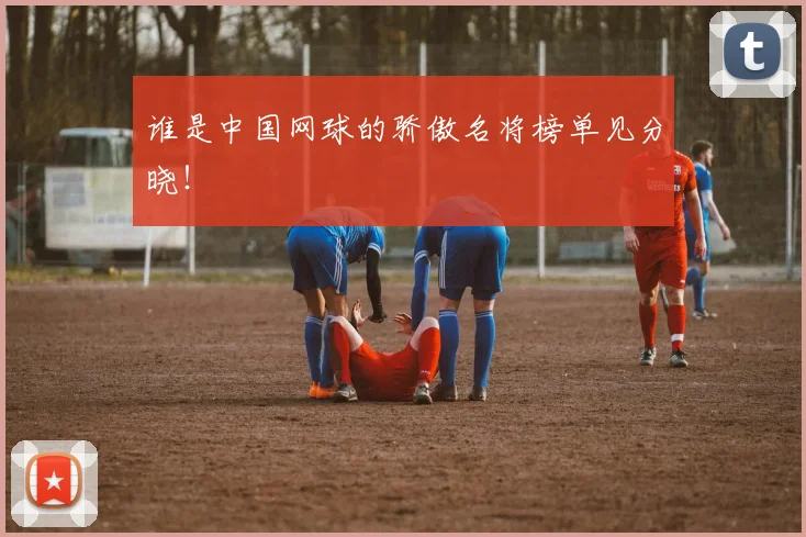 谁是中国网球的骄傲名将榜单见分晓！