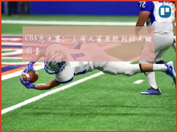 CBA总决赛：上海大鲨鱼胜利的关键因素
